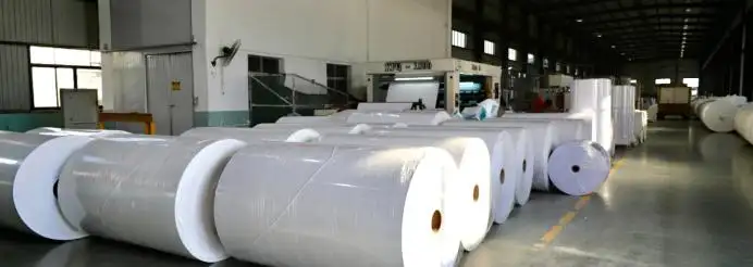 Papel Térmico Livre de BPA